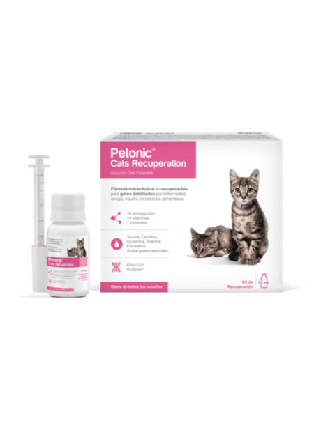 Suplemento Petonic Cats Recuperation para apoyar la recuperación de gatos.