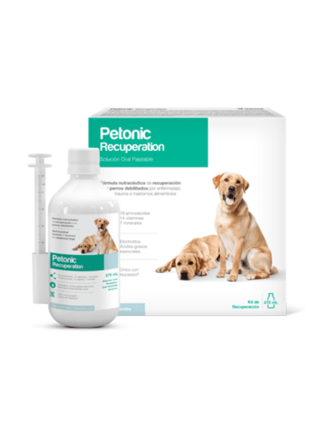 Frasco grande de Petonic Recuperation 275 ml para la recuperación integral de mascotas.