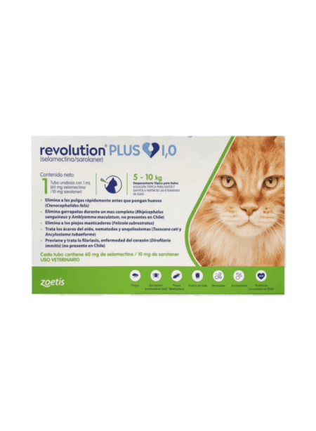 Revolution Plus 5 a 10 kg, tratamiento antiparasitario tópico para gatos medianos.