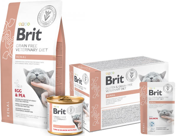 FIT23 Brit Renal Gato 200 gr alimento húmedo para insuficiencia renal felina