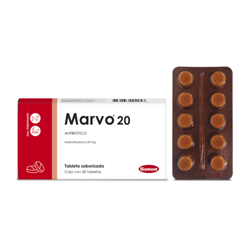 Marvo 20 (Marbofloxacina) Marvo 20 marbofloxacina antibiótico oral para perros y gatos Family Pets
